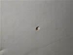 hole